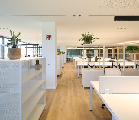 Coworking. Tendencia creciente en España